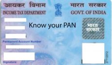 Getting PAN card PDF copy and Pan card Correction Form online ...